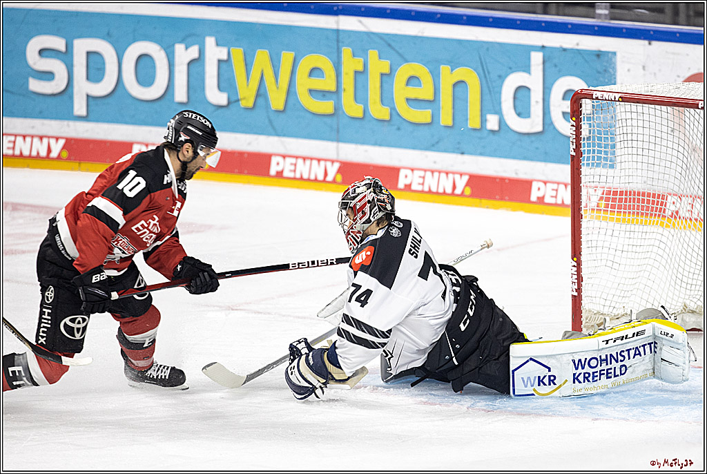 PENNY DEL;  Koelner Haie - Krefeld Pinguine; Koeln, 31.10.2021